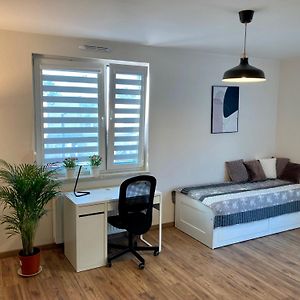 Appartement met een Slaapkamer
